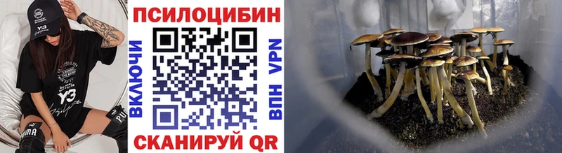 Купить где Комсомольск-на-Амуре Псилоцибиновые грибы Psilocybine cubensis