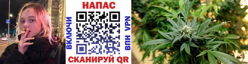 Купить где Комсомольск-на-Амуре Конопля планчик